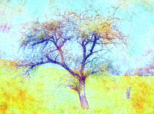 Collage Fantasy Tree 6