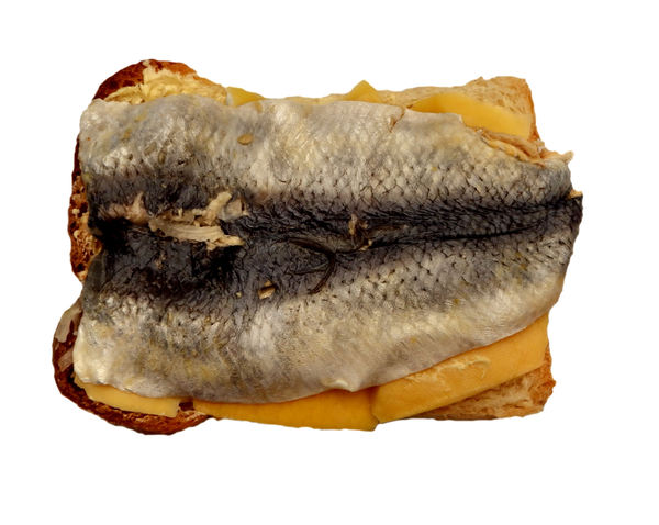 cheese & pickle herring sand2