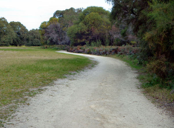 public park path6