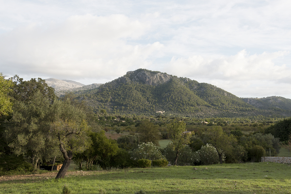 Majorca landscape