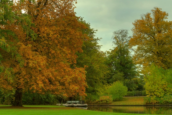 Autumn park with canal