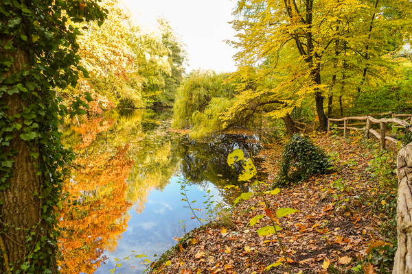 Hubertussee autumn scenery