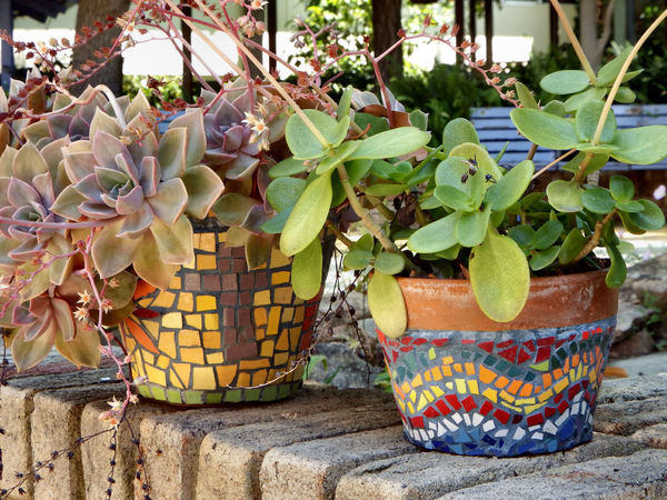 mosaic plant pots1