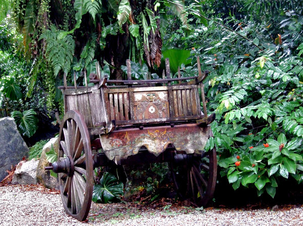 old ox cart1