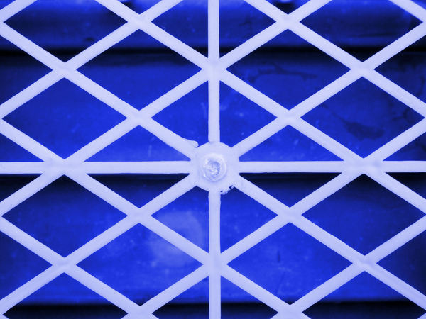 caged in plastic5