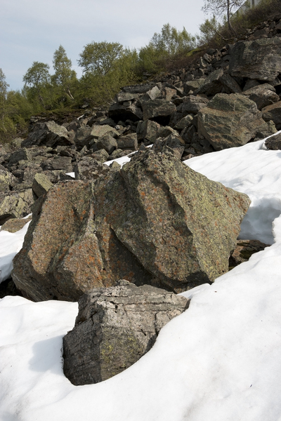 Snow and rocks