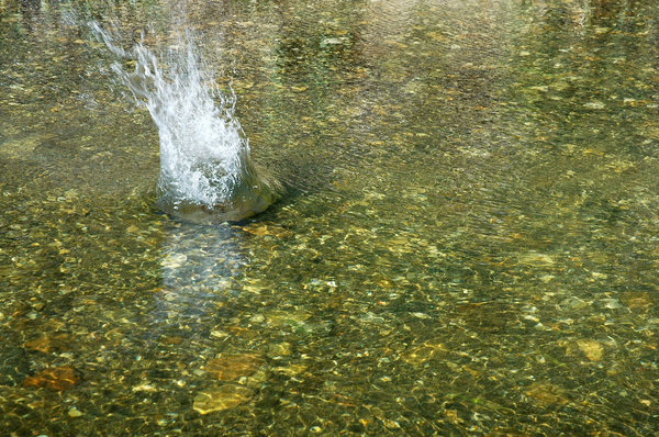 Riverine splash