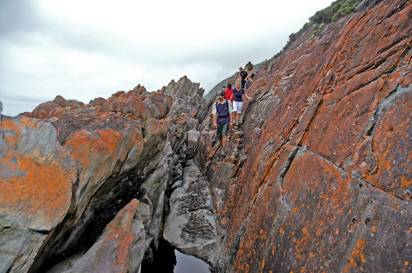 Coastal hikers: Coastal hikers near the Tsitsikamma, Garden Route, South Africa.NB: Credit to read 