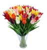 tulips: colourfull artificial tulips