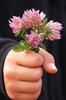 for  you: child holding flowers