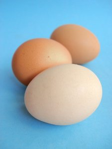 Chicken Eggs: Chicken Eggs