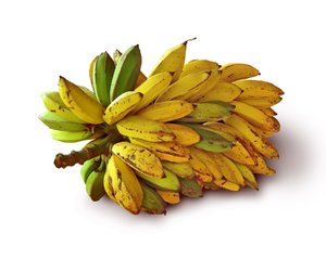 Going Bananas in Brazil: Bunch of bananas in green and yellow