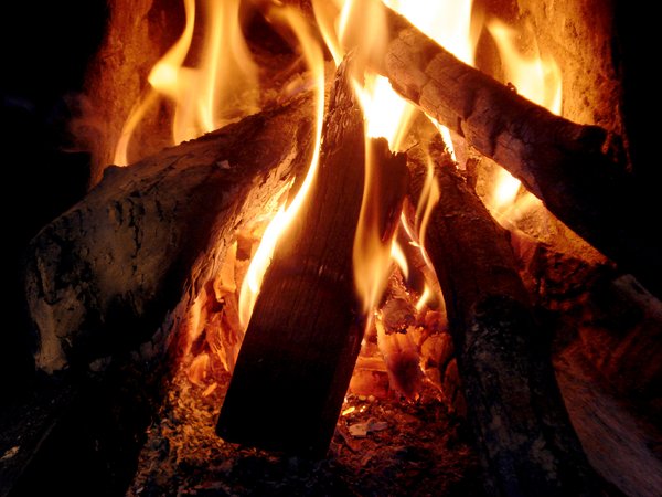 Firewood on Fire 1: 