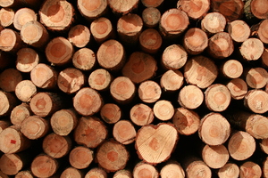 Wood pile: A pile of wood stored for further processing.