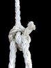 white rope - bowline knot: white rope - bowline knot