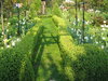 sunny hedgeway: 