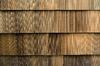 wooden texture: wooden texture