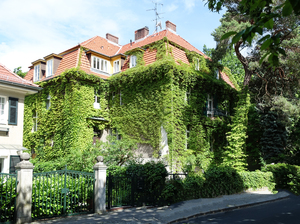 façade verte: 
