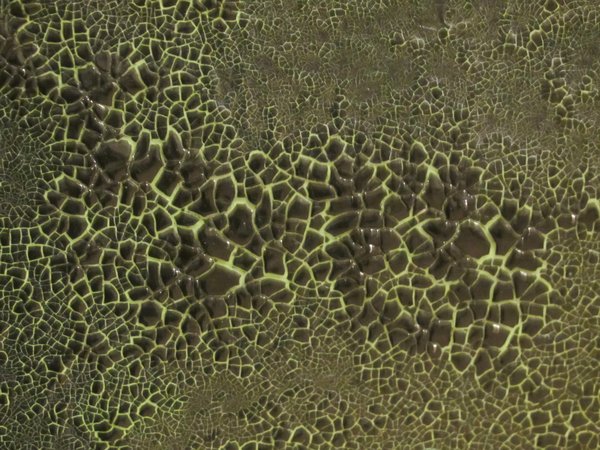 abstract animal skin texture | Free stock photos - Rgbstock - Free stock  images | Ayla87 | November - 06 - 2011 (26)