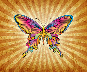 Spring: A colorful illustration of a butterfly on a grunge burst.Please visit my gallery at:http://www.thinkstockphot ..and:http://www.dreamstime.com ..