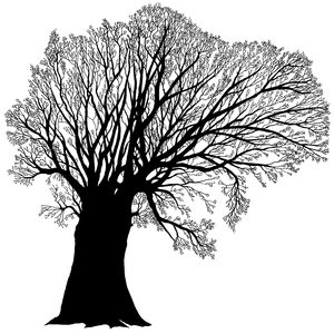 Winter Tree: An illustration of a winter tree.