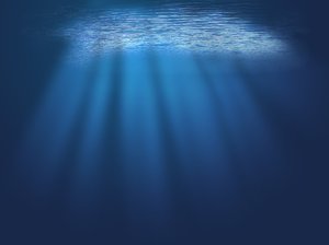 underwater: Underwater illustration