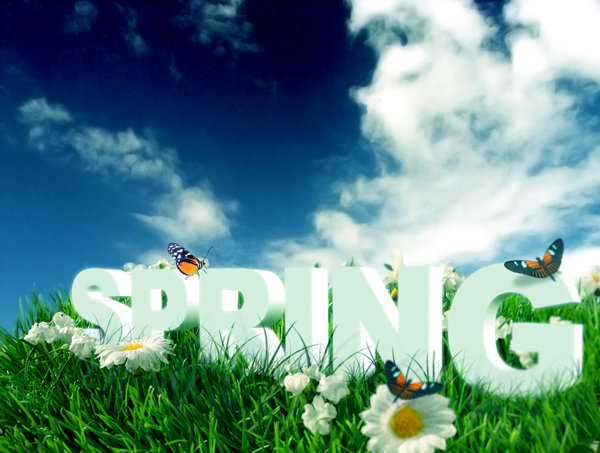 SPRING SEASON: From the Seasons SeriesS.P.R.I.N.G3D text incorporated into a spring photo to highlight the concept.Original Background image Credit: Jazzahttp://www.sxc.hu/browse. ..