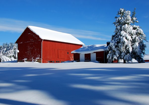 Red Barn in Snow 1: A red barn after a heavy snow fall in Great Falls, VA