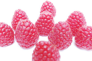 Wow ... all those raspberries!: Do not eat them ... they belong to someone else!