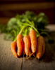 A bunch of organic carrots.: A bunch of organic carrots on a wooden table with a shallow depth of field.