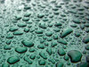 Rain Drops: Rain drop texture on a car hood.