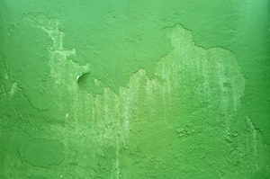 Grunge Wall Textures (Green): A concrete wall painted long time ago...