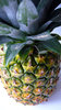 Pineapple: pinapple