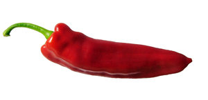 Sweet Pointed Pepper: Sweet Pointed Pepper
