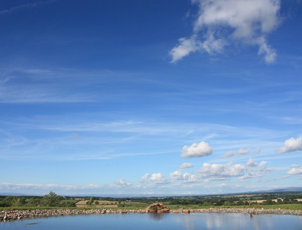 Pond landscape: Pond in the foreground of a rural landscape