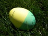 Easter Eggs: Some of our Easter eggs in the greenest part of our yard!