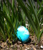Easter Eggs: Our Easter eggs in the grass.