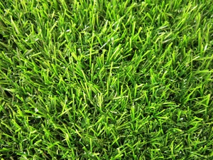 grüne Gras Textur: 