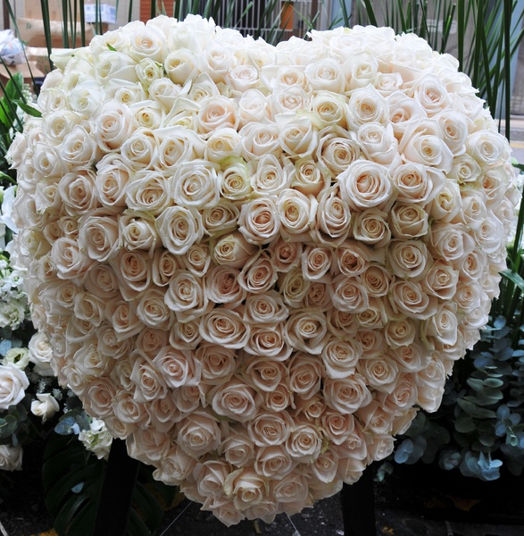 witte rozen hart: 
