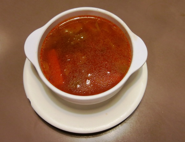 hot vegetable soup: hot vegetable soup