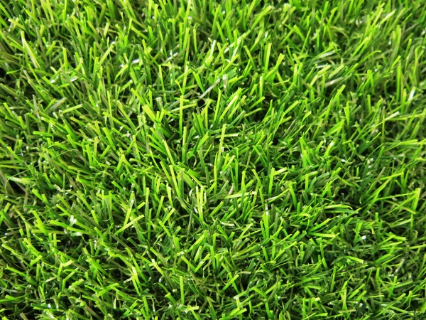 grüne Gras Textur: 