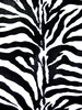 zebra skin: it is not  real leather, is  my office chair
