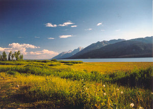 mountain's lake: Mountains lake in Yellowstone National Park