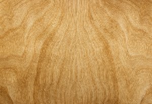 Wood Grain Texture: Wood veneer on an old door.