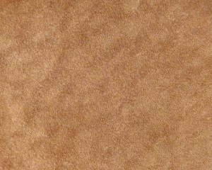 Smooth Tan Leather: A close-up texture of a leather swatch.