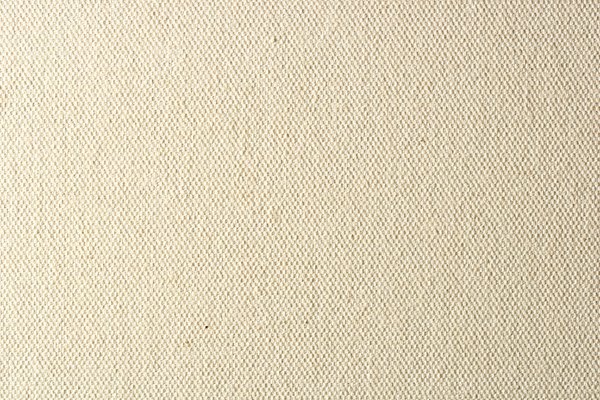 New White Canvas Texture | Free stock photos - Rgbstock - Free stock images  | crisderaud | January - 07 - 2010 (1083)