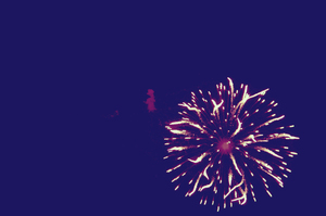 Fireworks: Bright pink fireworks against a dark blue sky.