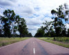 Open Road 1: Open road driving north in a remote area of Queensland.