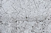 Cracked Paint 2: Cracked paint in a parking lot. This paint was on one of the white arrows painted on the asphalt.