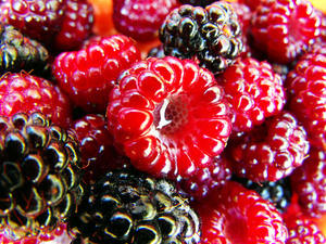 Raspberry: Fresh picked berries